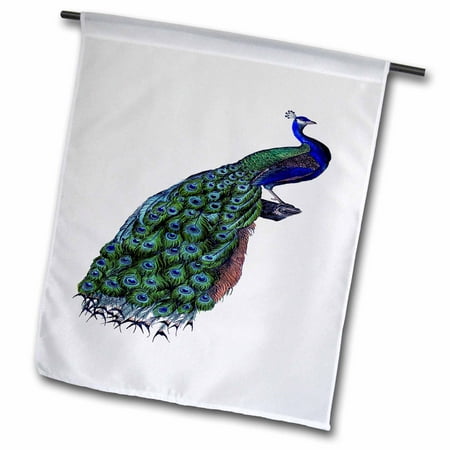 3dRose Blue Green and Coral Peacock - Garden Flag  12 by 18-inch