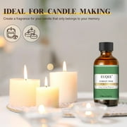 EUQEE Forest Pine Fragrance Oils for Candle Making,Aromatherapy Oils for Skin,Diffusers,Home Care,Essential Oil Scent for Humidifier Laundry,and More (60mL)