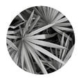thumbnail image 4 of PIKWEEK Round Tablecloth Palm Leaves with Elastic Edge White, 4 of 8