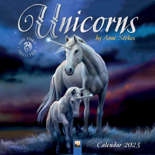 Calendrier 2023 Fairy Tail Unicorns By Anne Stokes Wall Calendar 2023 (Art Calendar) (Calendar) -  Walmart.com