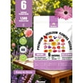 thumbnail image 5 of RitualBoxy 6 Varieties 1,500+ Seeds Flower Garden Bulk Pack – Annual Flowers to Attract Butterflies, Other Pollinators – Non-GMO Heirloom Seeds for Planting Outdoor, DIY Home Garden Gift, 5 of 7