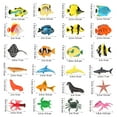 thumbnail image 4 of LOLIPPYY 1 Set Realistic Representation Ocean Animal Figurines Plastic Underwater Environment Aquarium Owners, 4 of 8