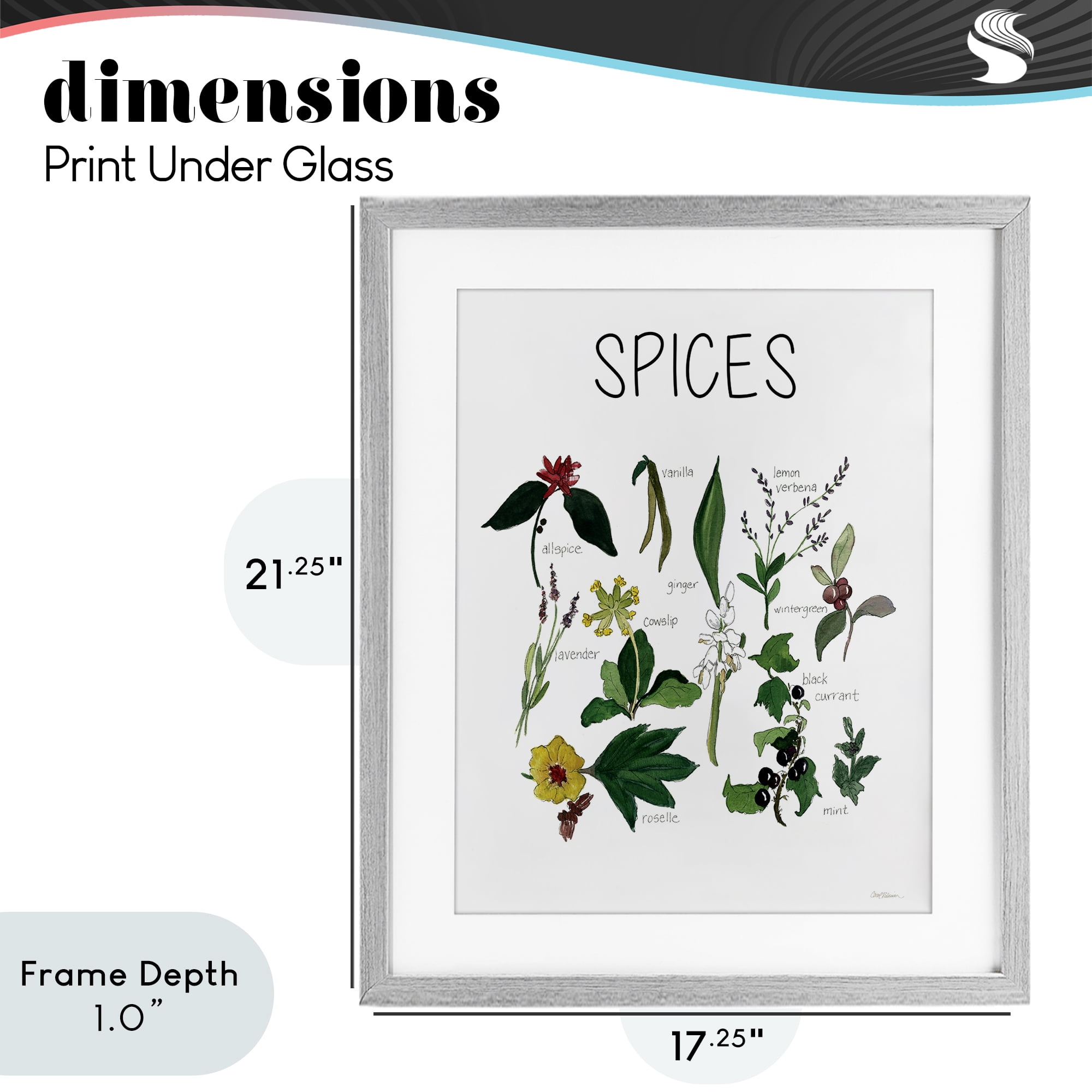 Stupell Industries Spices Identification Chart Gray Framed Print Under Glass, design by Carol Robinson