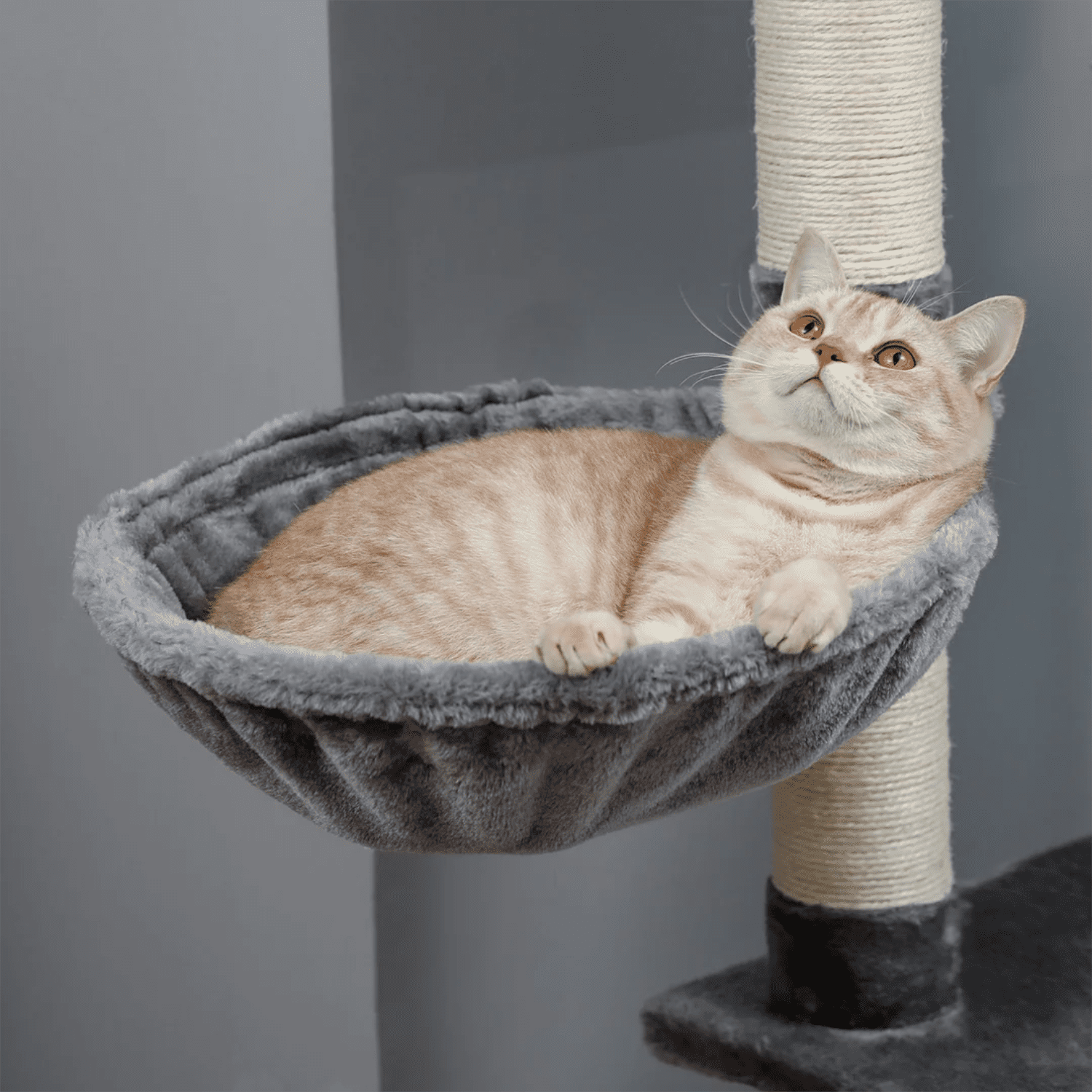 Pefilos 64" Modern Cat Tree for Large Cat Condo for Multiple Cats with Top Perch, Cozy Hammock, Climbing Ladder, Feeding Bowl and Cat Interactive Toy Cat Tower for Big and Fat Spacious, Gray