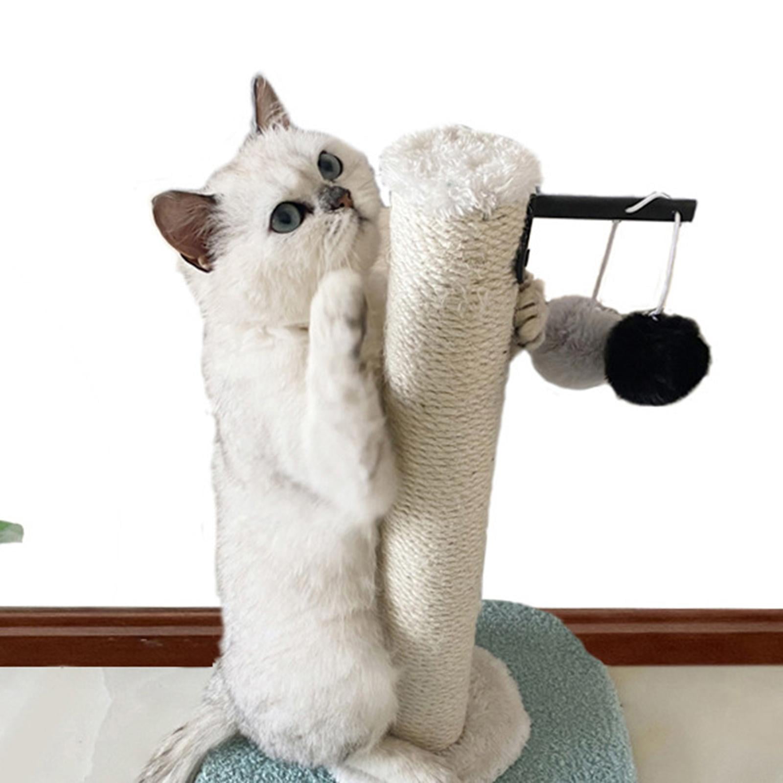 EHJRE Funny Cat post for scratching Scratcher Sisal Activity Centre Kitten W/ Balls Cats Climbing Shelf for Training Grind Claw Pet Supplies , Green