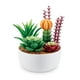 thumbnail image 4 of Cápsula Create Garden de Mini Brands (paquete de 2) de ZURU, 4 of 8