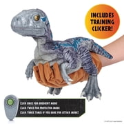 WOW! STUFF: Jurassic World Blue Training Edition Puppetronic by RealFX - Interactive Baby Raptor, 60+ Actions & Sounds, 22 Dinosaur Toy, Ages 8+