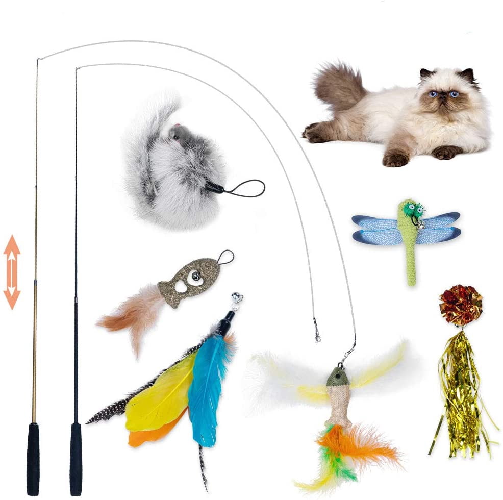 retractable cat toy