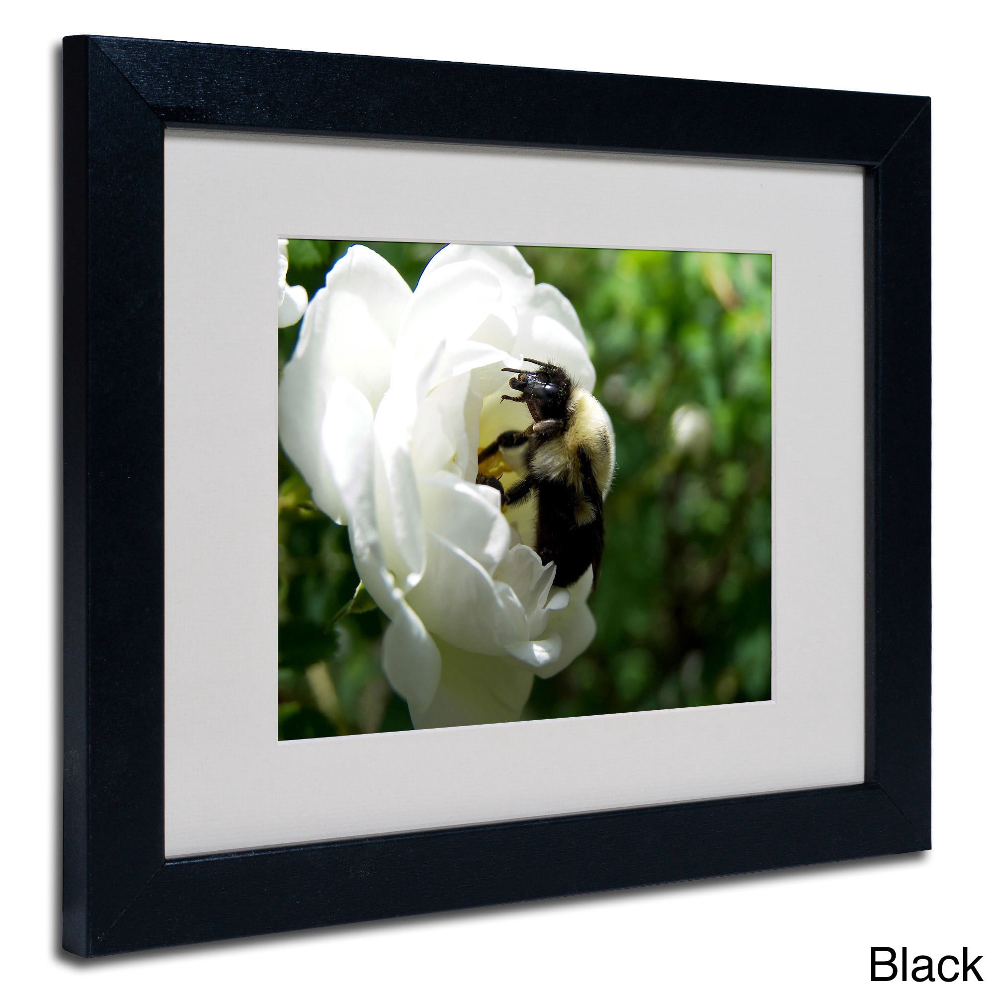 "Passionate Desire" Canvas Art by Monica Fleet, White Matte, Wood Frame