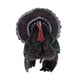 thumbnail image 2 of Juguete de Animal Hugo Grande de Plástico Pavo, 2 of 6