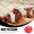 thumbnail image 3 of unbranded 1Jgo Alimentador Para Pollos De Plástico Con Práctico Y Conveniente Para Gallinas, 3 of 7
