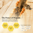 thumbnail image 4 of Beekeeper's Naturals Kid's Propolis Throat Spray, Immune Support, 22.5ml, 4 of 9