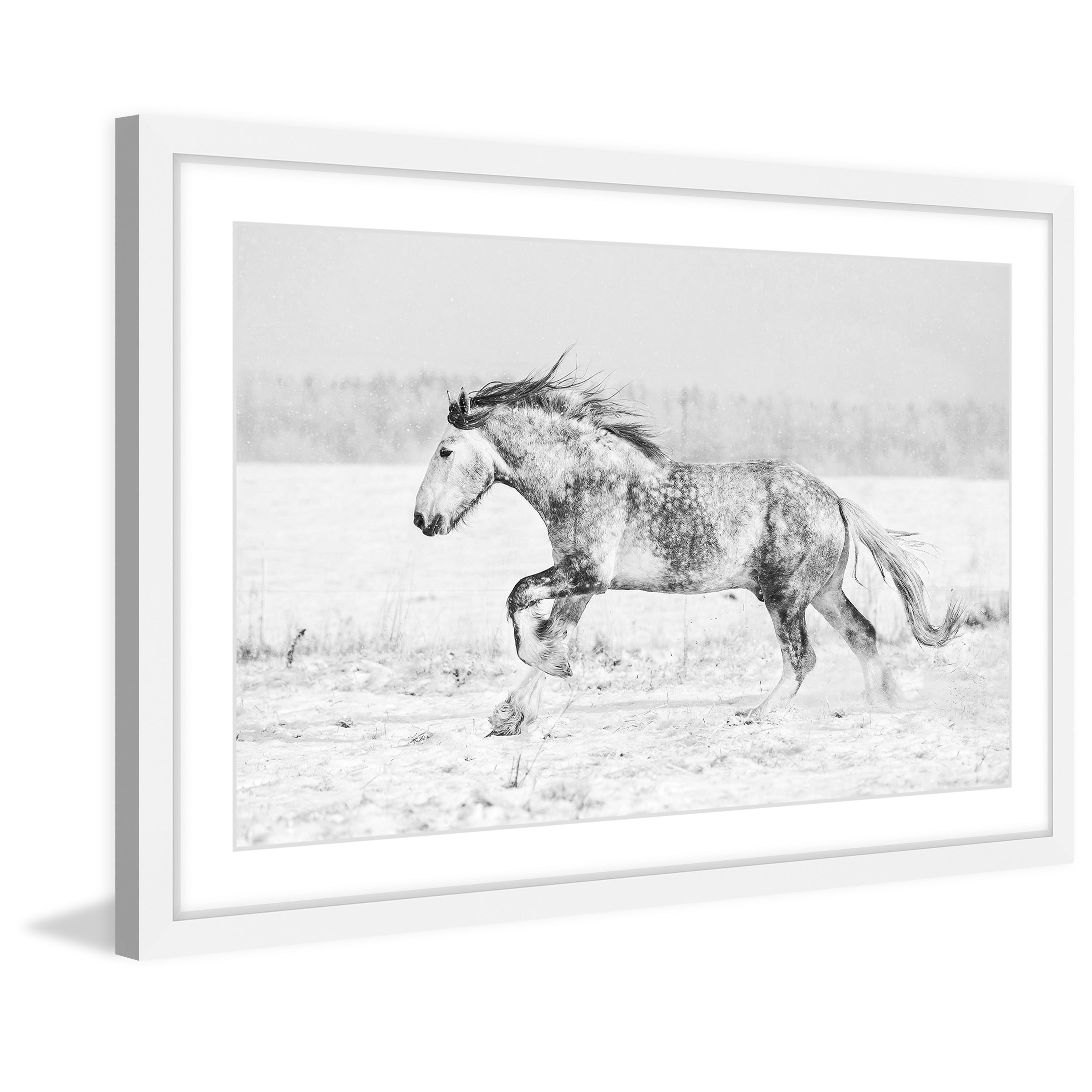 Marmont Hill "Galloping Joy" Framed Painting Print