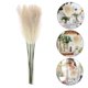 thumbnail image 5 of BESTYASH 10Ud Ramillete De Flores Y Reed Secos Para Y Hogar, 5 of 8
