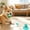 Brown#2, variant on yuHome Dog Suction Cup Tug Toy with Rope | Heavy Duty Chew Toy for Boredom Relief | Dental Health | Indoor Outdoor Interactive Pet Toy | Blue Green Red