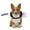 L-1, variant on Halloween Theme Pet Funny Costume Kitten Cosplay Dress Up Killers Clothes for Puppy Kitten Party Accessories