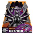 thumbnail image 1 of LED Spider Magic Seasons para Halloween, 20 cm, multicolor, paquete de 6, 1 of 1
