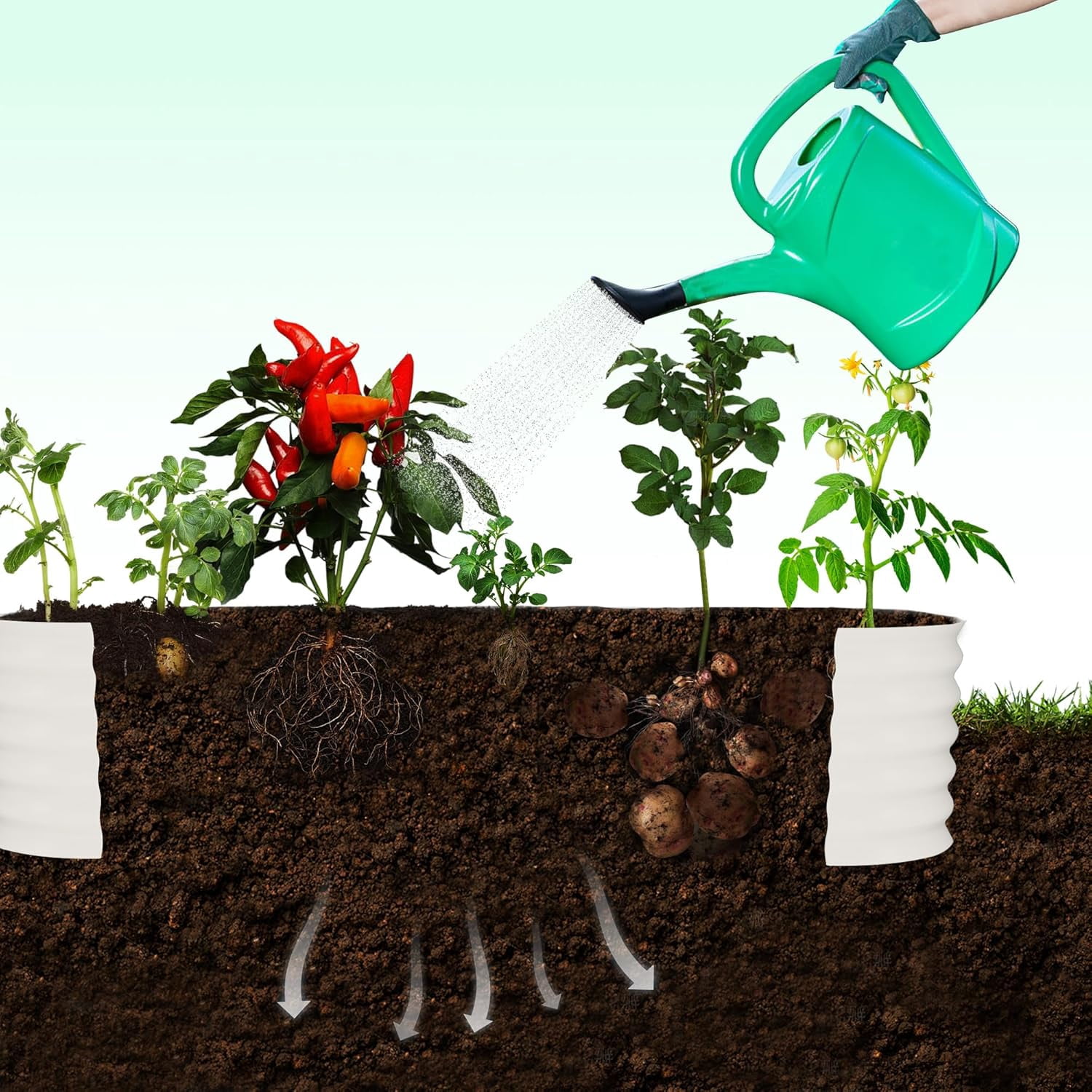 Riedhoff 2 Pack Raised Garden Bed Kit 6.56*1.96*1.47'​​, with 7.87' Tall Arch Trellis, Off-white