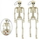 thumbnail image 5 of Uuiauoio Skeleton, Halloween Skeleton Poseable Skeleton Full Body Human Bones with Movable Joints for Indoor Outdoor Halloween Props Decorations, 5 of 9