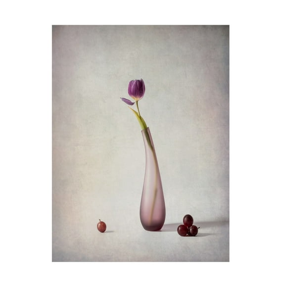 Trademark Fine Art May G Tulip and Grapes Canvas Wall Art