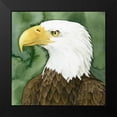 thumbnail image 2 of Popp, Grace 15x15 Black Modern Framed Museum Art Print Titled - Bald Eagle Stare II, 2 of 5