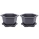 thumbnail image 4 of 1 Set of Plastic Flowerpot Balcony Planting Container Simple Plant Pot with Trays, 4 of 4