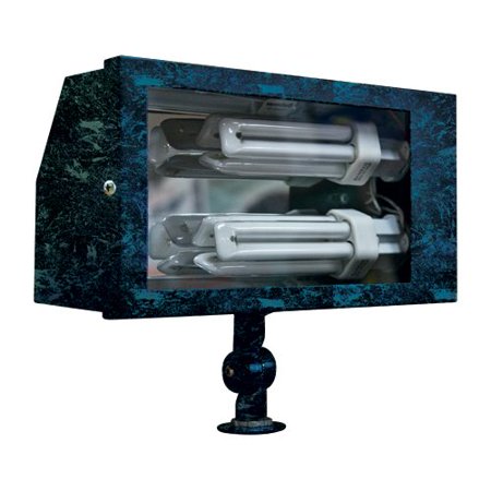 Dabmar Lighting 2-Light Flood Light