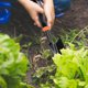 thumbnail image 4 of Pala de Jardinería Pala de Jardín Multiusos Rastrillo Herramienta de Cultivo para Desherbar Bulbos y Cultivar con Agujero para Colgar Herramienta de Jardín para Trabajo Pesado (Negro), 4 of 4