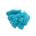 thumbnail image 1 of Worallymy Musgo Artificial Flor Pared Paisaje Boda Fiesta Jardín Decoración Musgo Falso Interior Exterior Decoración Azul Brillante Worallymy JD735806760, 1 of 7