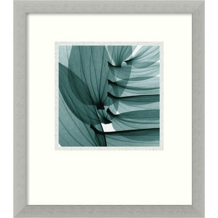 Amanti Art 'Lily Leaves' by Steven N. Meyers Framed Photographic Print