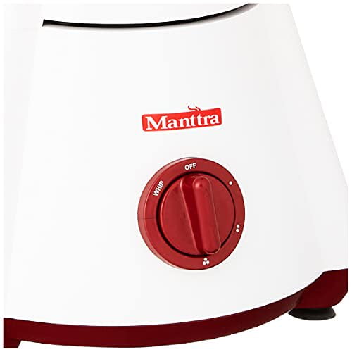 champion mixer grinder