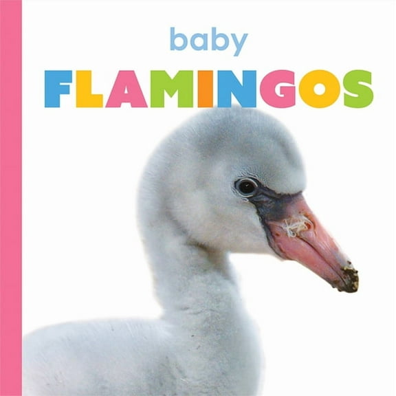 Starting Out: Baby Flamingos (Paperback)