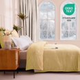 thumbnail image 3 of Heated Blanket Electric Throw 50” x 60” -Heated Throw Blanket with 5 Heating Levels & 3 Hours Auto Off Machine Washable Over-Heat Protect（Racoon）, 3 of 7