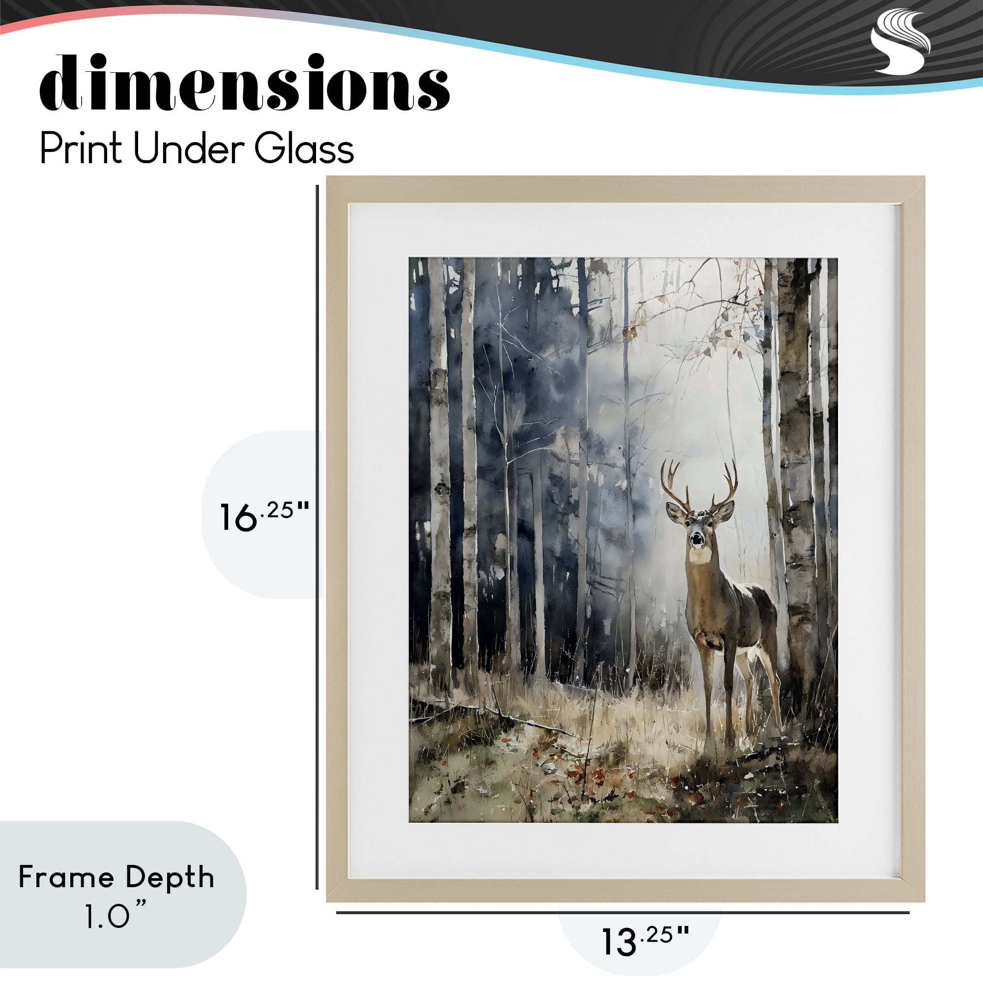 Stupell Industries Deer In The Woods Birch Framed Print Under Glass, design by Franklyn Gregory