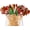 100Pcs, variant on 100/200 Counts Christmas Cocktail Picks Christmas Tree Snowflake Snowman Santa Claus Reindeer,4.7in Bamboo Cocktail Toothpicks Fruit Food Appetizer for Christmas Party Decorations
