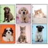 License Rachael Hale Dog Cat Fsc Port Folders