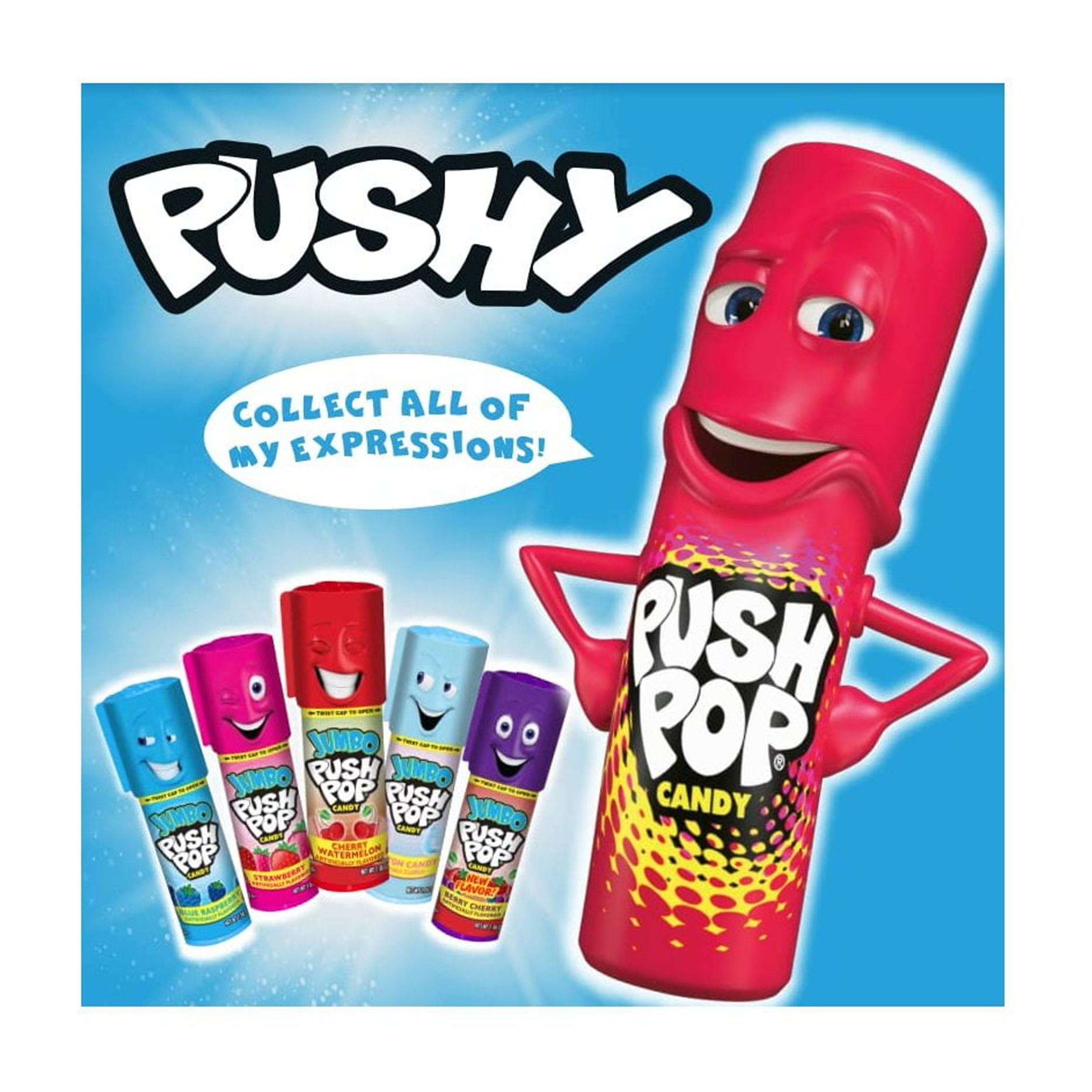 Push Pop Candy Lollipops, Individually Wrapped Variety Bulk Candy Party Pack, Assorted Flavors, 24 Count