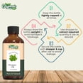 thumbnail image 3 of Aceite Esencial de Orégano Organic Zing Puro y Natural para Cuidado de la Piel, Cabello y Cuerpo, 3 of 8