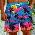 thumbnail image 5 of Xysaqa Men's Swim Trunks Palm Tree Print Hawaiian Bathing Suit Swimsuits Casual Holiday Beach Shorts with Pockets （Available In Big & Tall) Clearance Sky Blue 4X, 5 of 8