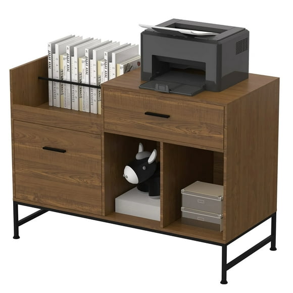 Armoire à Dossiers, 100 x 40 cm Armoire de Classement Latérale avec 2 Tiroirs, Support d'Imprimante, Étagères de Rangement Ouvertes pour Maison, Bureau