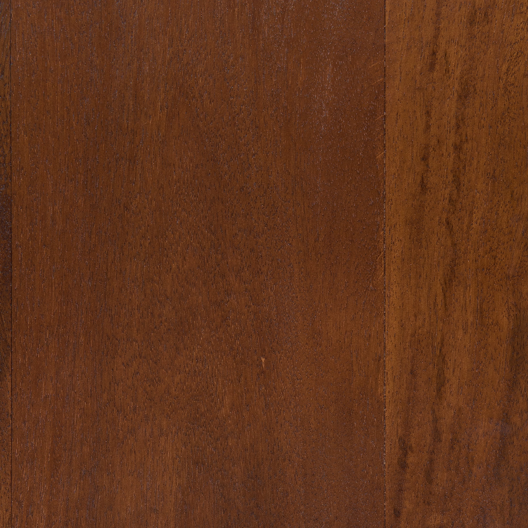 Medium Chestnut