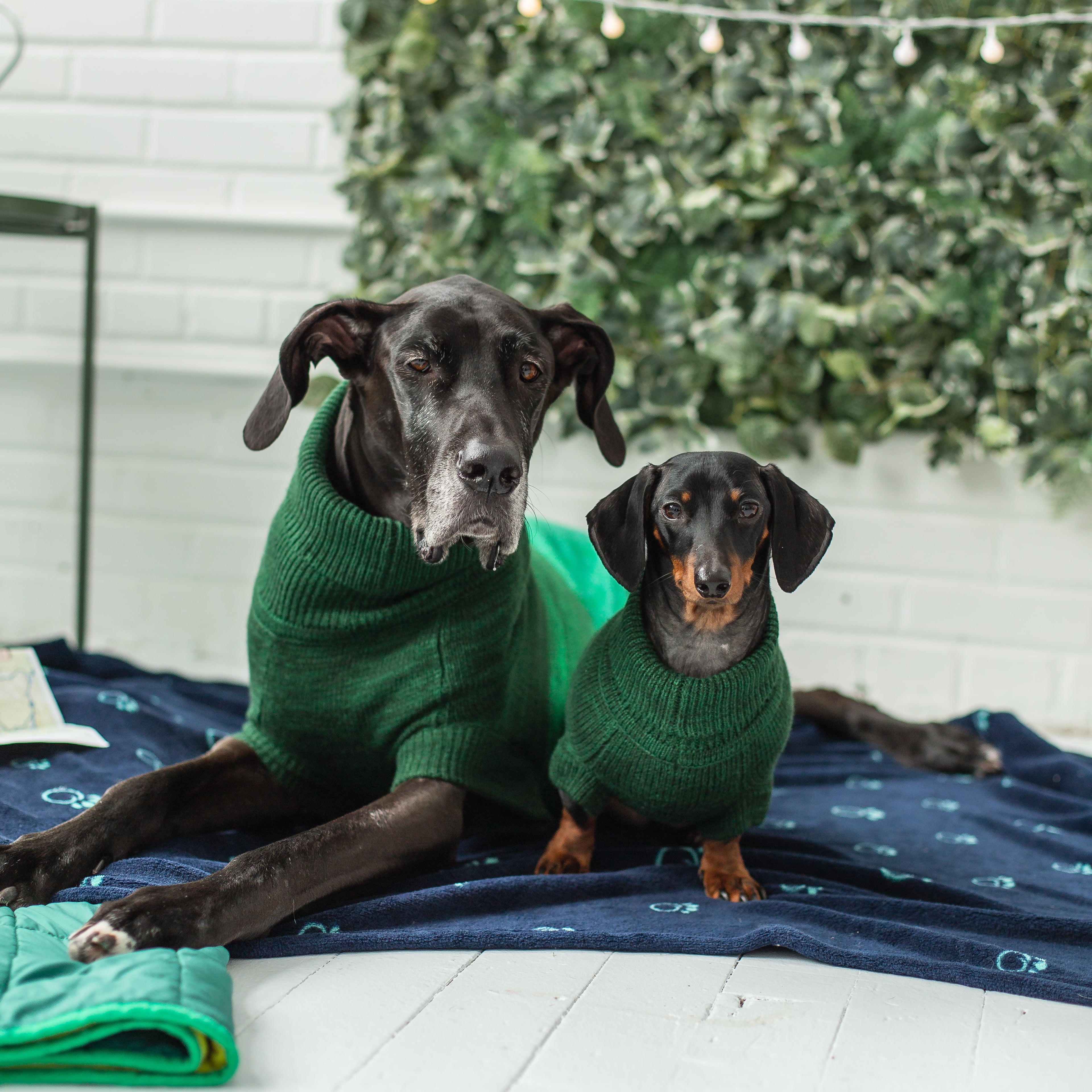 GF PET Trail Dog Sweater Apparel for Small Medium Large Dogs Pets, Forest, XL