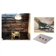 Zhaomeidaxi Reptile Heating Pad, 5/7/14/20W Waterproof Reptile Heat Pad Under Tank Terrarium, Safety Adjustable Reptile Heat Mat for Turtle, Tortoise, Snakes, Lizard, Gecko