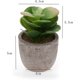 thumbnail image 4 of 3pcs Faux Succulent Bonsai Cactus Plant Pot Flower Pot Container Plant Bonsai Artificial Simulation Plants with Pots, 4 of 4