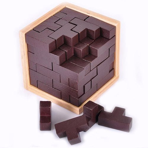 sharp brain zone puzzle