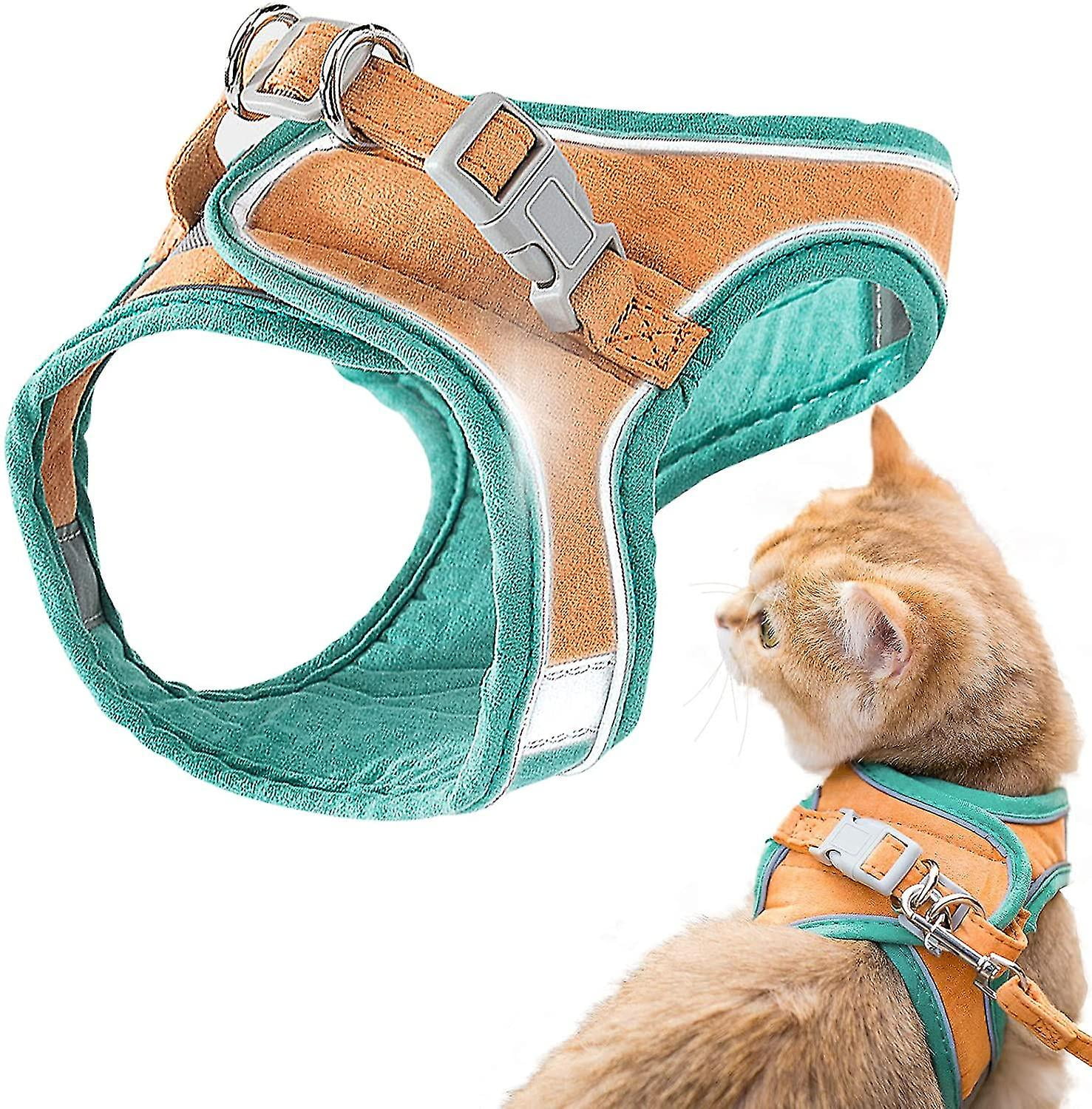 harness and leash set for cats