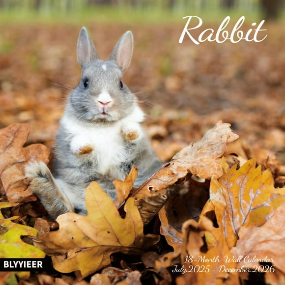 2026 Wall Calendar,Calendar 2025-2026,Rabbit Monthly Wall Calendar, 12" x 24" Open,Family Planner Calendar, Home & Office Organizer,Hangable