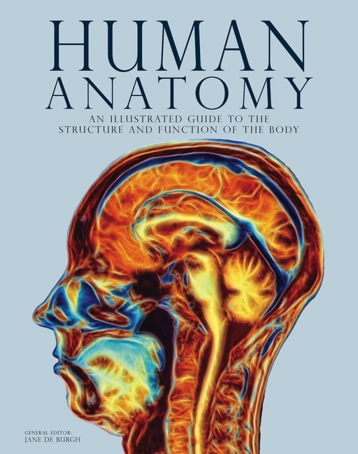Fantastic Price Bourgery. Atlas of Human Anatomy and Surgery