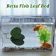 thumbnail image 5 of Camas para peces Betta de Unique Bargains, cama de hoja Betta, almohadilla de hamaca Betta con ventosa, suministros para peces Betta, decoración de acuario verde, 5 of 7
