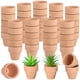 thumbnail image 1 of 50 mini macetas de terracota, macetas suculentas de 1,2 pulgadas con agujeros de drenaje, maceteros de flores de cactus en miniatura, pequeñas macetas de terracota de arcilla para plantas de interior, 1 of 6